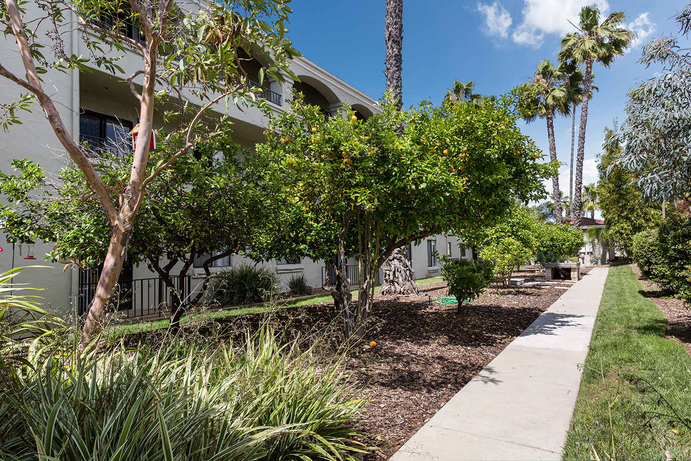 Las-Villas-del-Norte_Garden